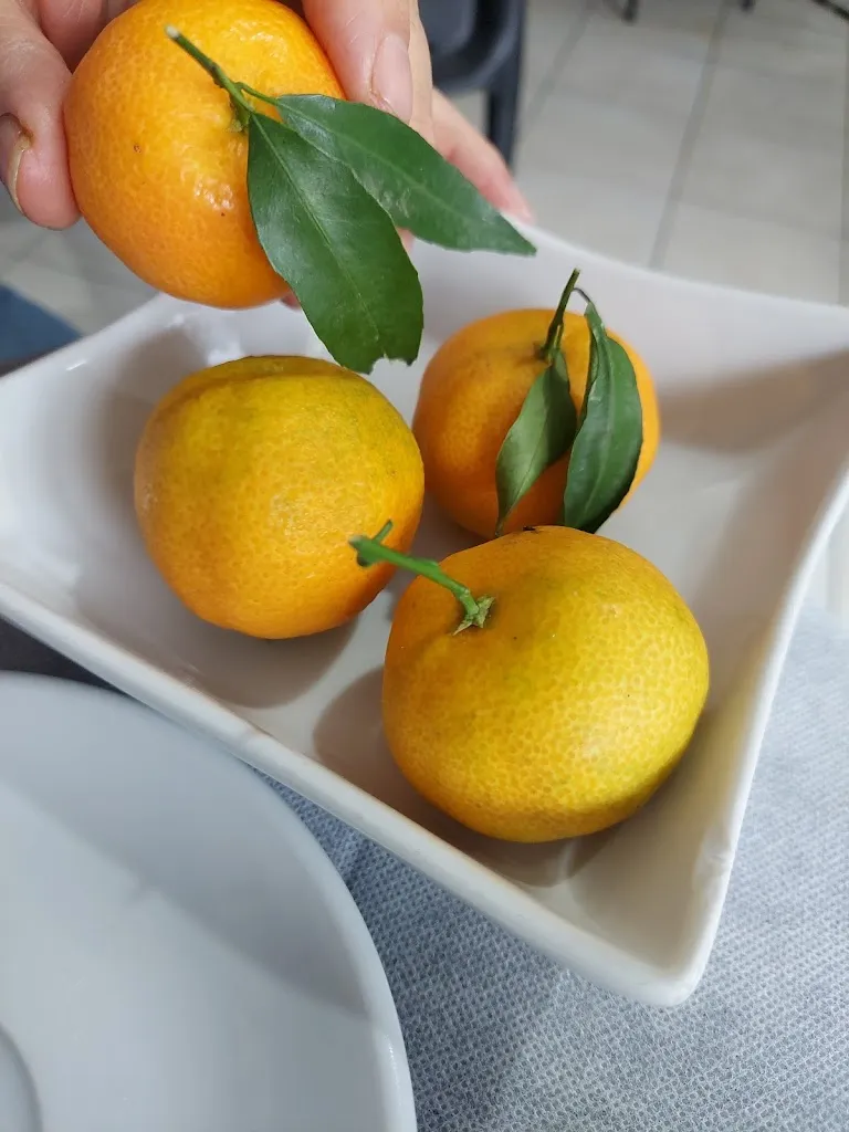 Menu_Cucina Tipica Sarda _Muravera_image_6