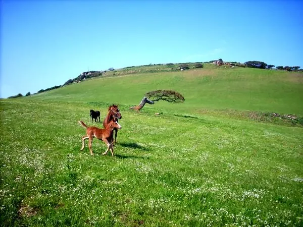 Agriturismo Ruspina_Nulvi_slider_image_3