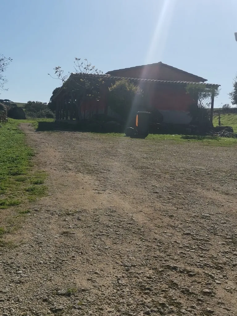 Antonello Porqueddu_Agriturismo Nuraghe Alvu dei Fratelli Pes_Nulvi_review