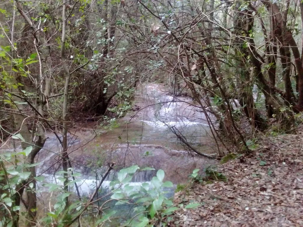 Ristorante Funtana Is Arinus_Nuragus_slider_image_3