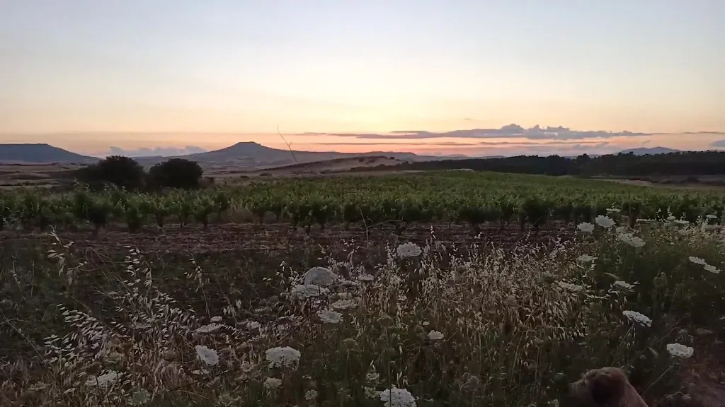 Agriturismo Furfullanu restaurant in Nuragus