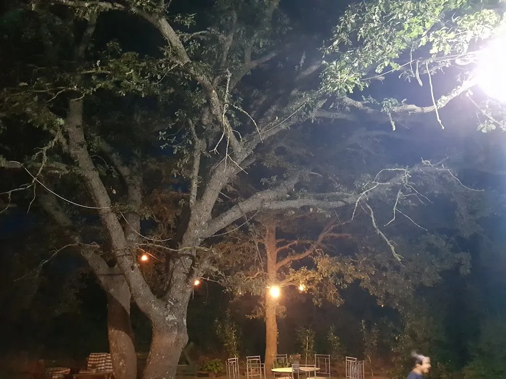 Alessandro Cossu_Agriturismo Sa Serra_Ollolai_review