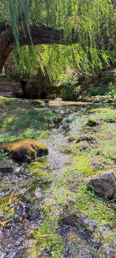 Nicola Puddu_Su Gologone_Oliena_review