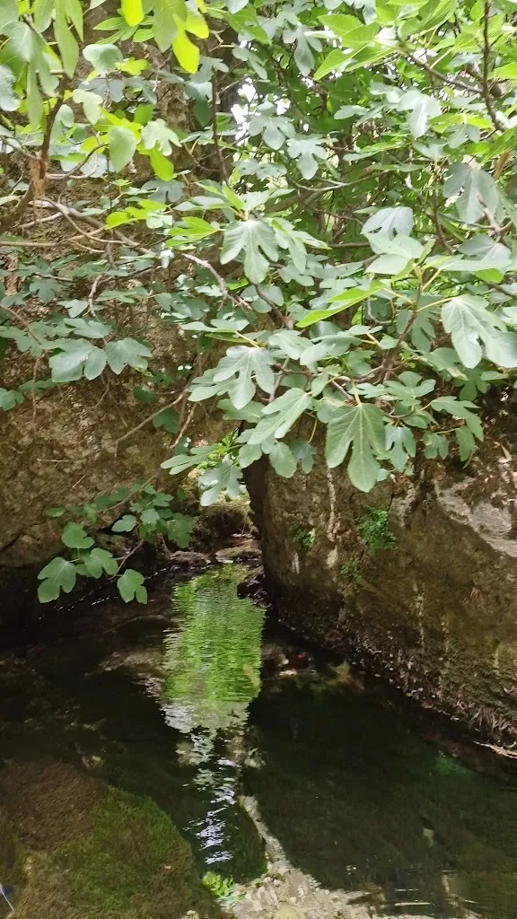 Simonetta Franceschi_Su Gologone_Oliena_review