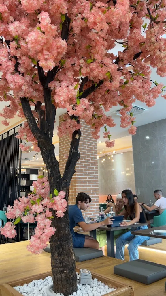 nina drzikova_Sushi Line_Nuoro_review