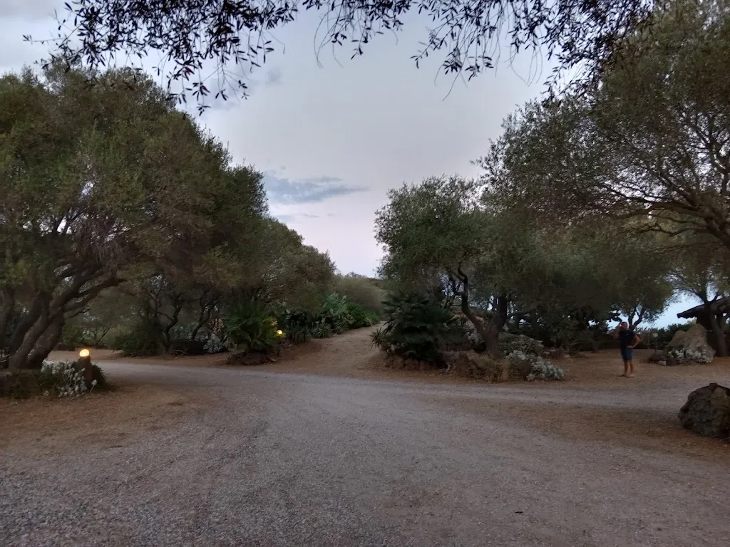 Su Murtale_Onifai_slider_image_2