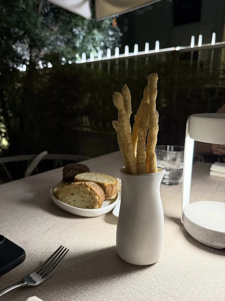 Harbour Seal_Dulchemente_Olbia_review