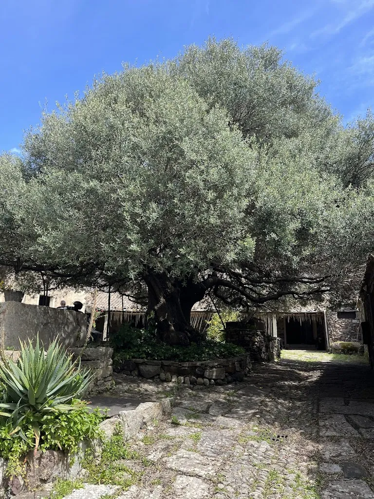 Patricie Jandikova_Albergo Omu Axiu - Ristorante tipico - Agriturismo e Museo_Orroli_review