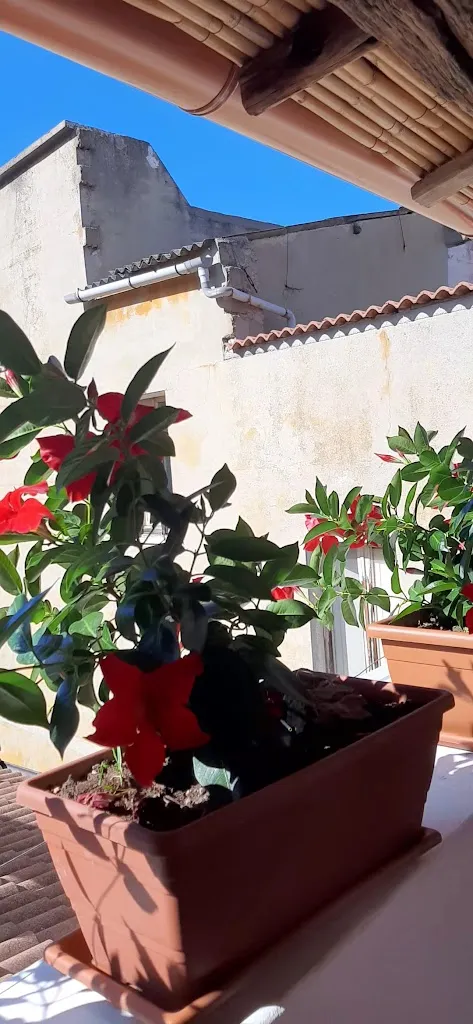 Su Guruttu_Orgosolo_slider_image_2