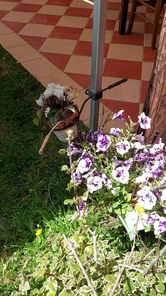 Agriturismo Surbiu_Pabillonis_slider_image_2