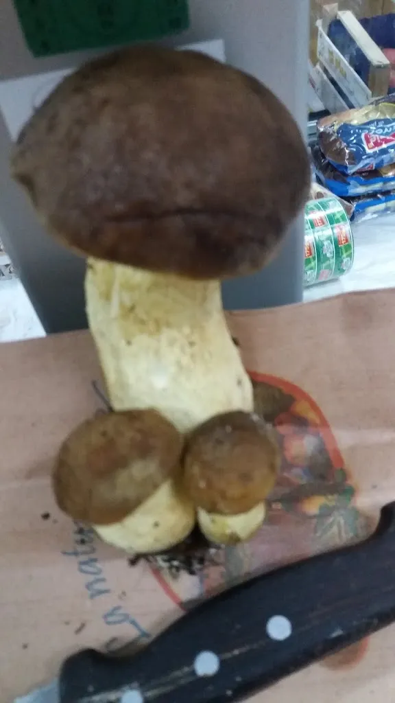 Menu_Bar Sala Giochi Universo_Pabillonis_image_8