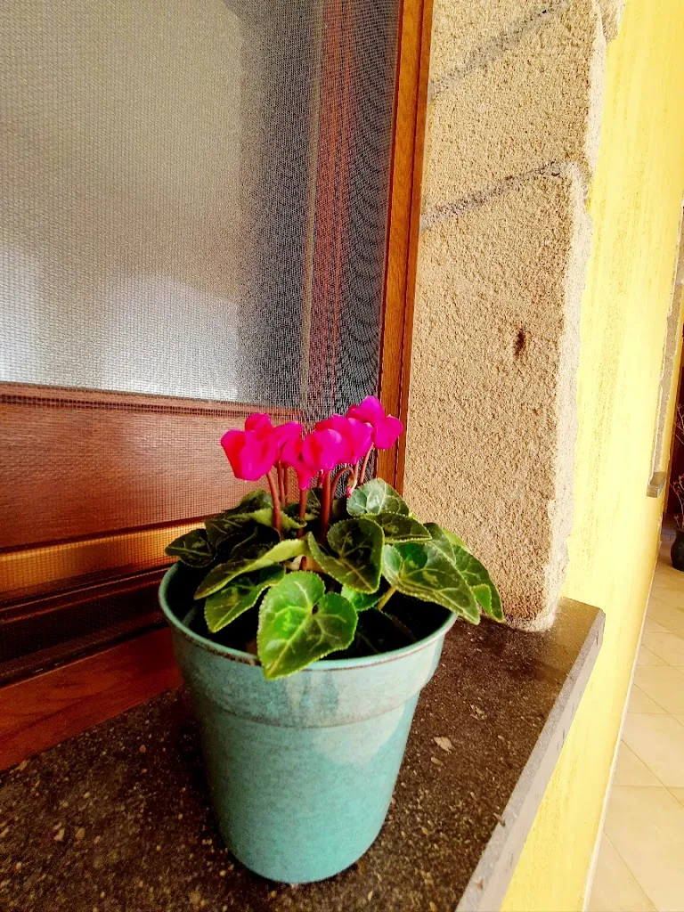 Isprocilis House_Palmas Arborea_slider_image_2