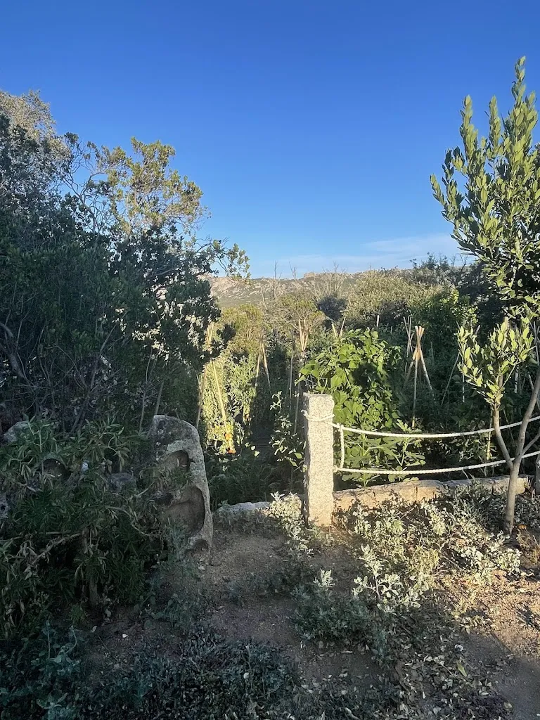 Sophia Sorriento_Agriturismo Corda Tonino_Padru_review