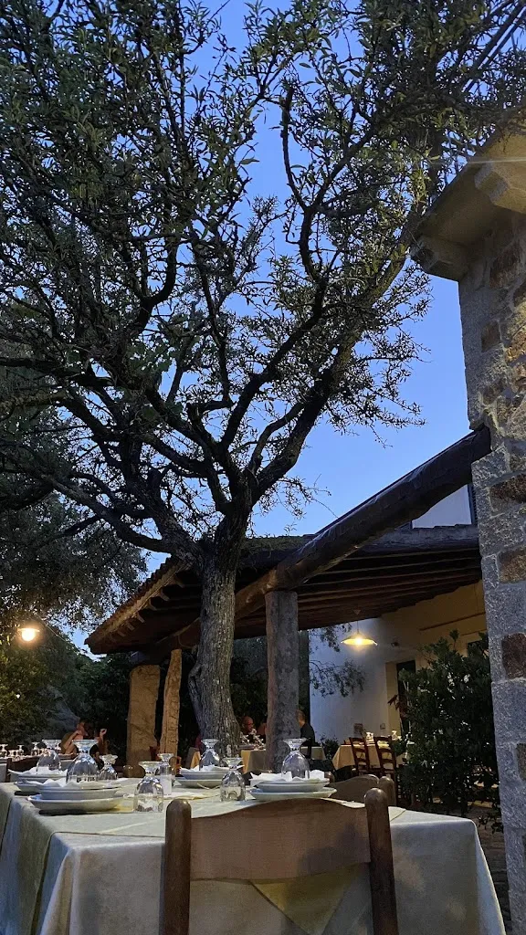 Roberta Palleschi_Agriturismo Corda Tonino_Padru_review