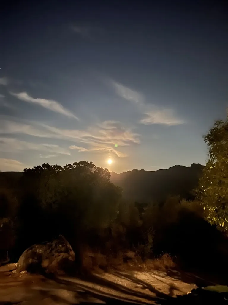 Elisabetta Gigliotti_Agriturismo Badderorsa_Padru_review