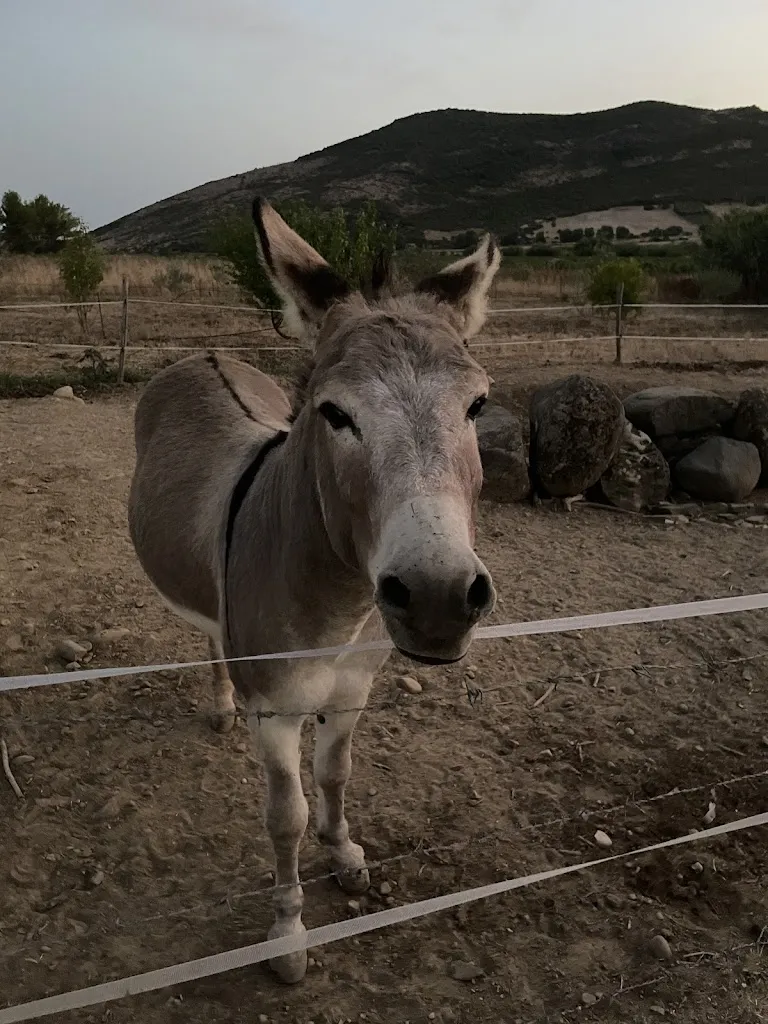 Agriturismo Gennemara_Perdaxius_slider_image_1
