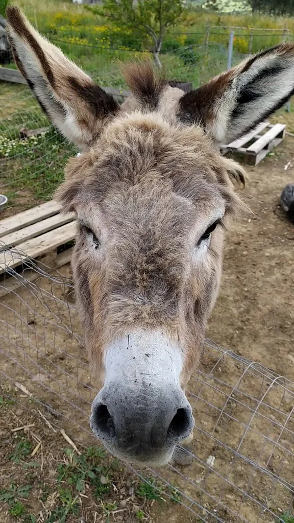 Agriturismo Gennemara_Perdaxius_slider_image_2