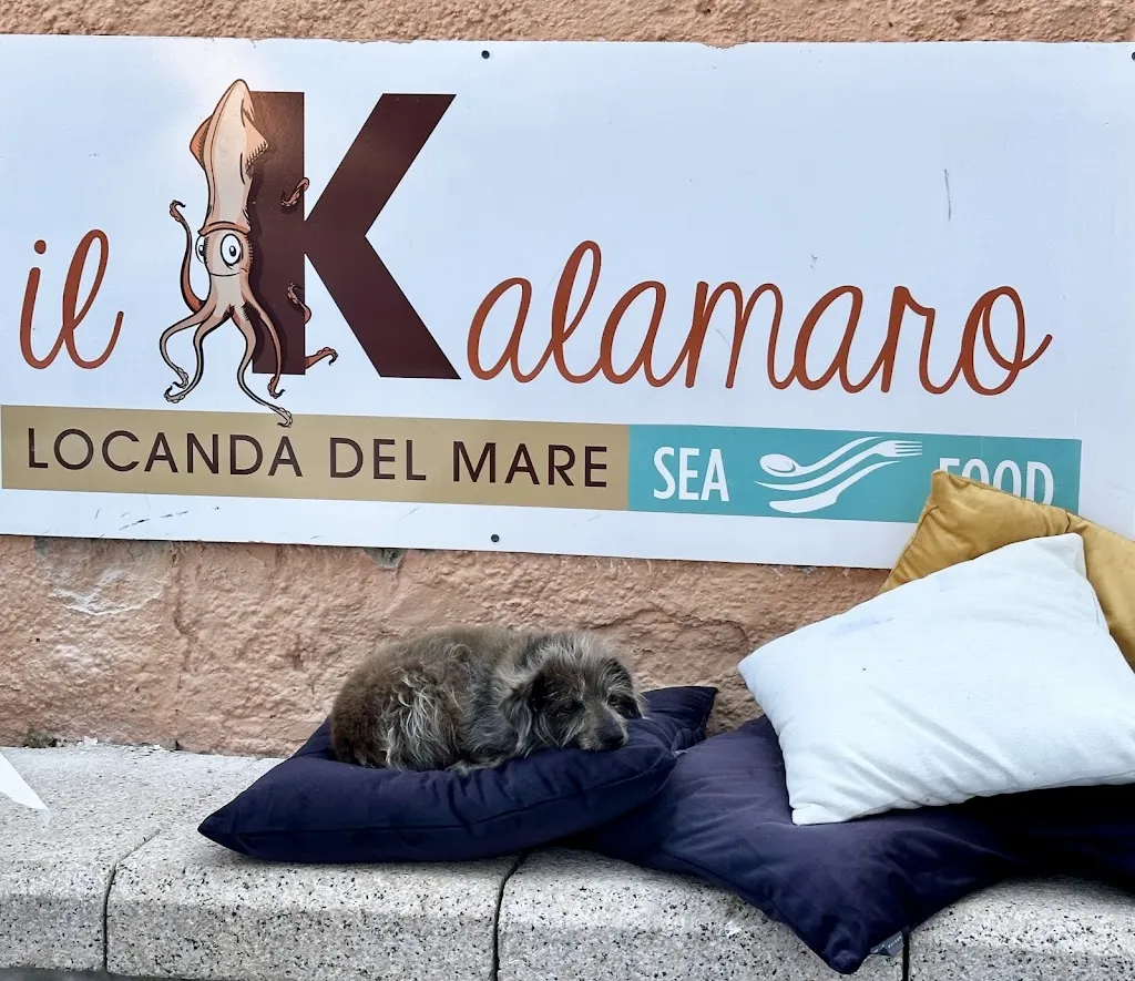 Sergiu Suciu-Raca_Il Kalamaro locanda del mare_Palau_review