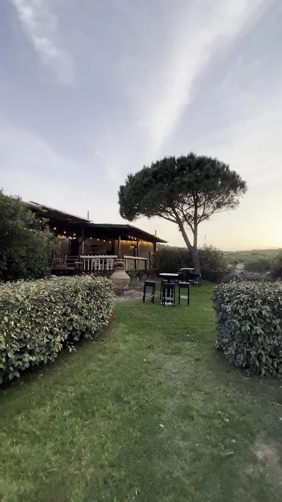 CuCumiao_Palau_slider_image_2