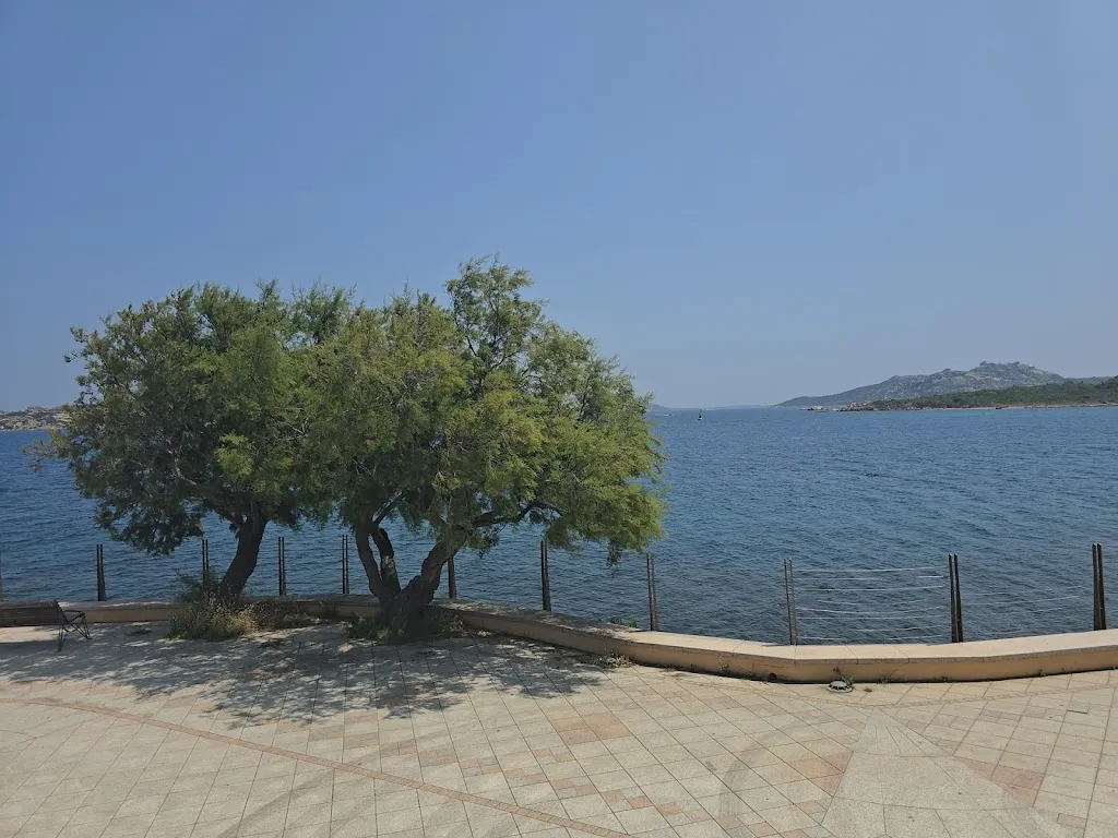 Taco Tjalkens_Il Vecchio Pirata_Palau_review