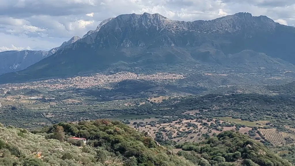 Sónia Martins_Su Pinnettu_Provincia di Nuoro_review