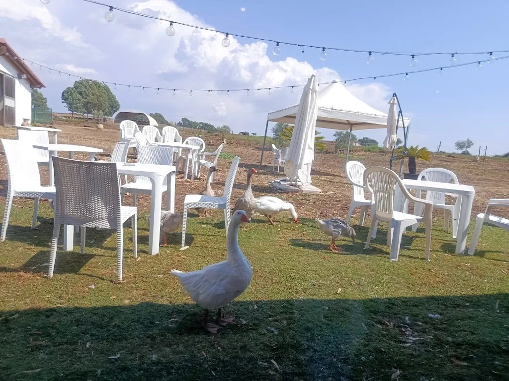 Maria Pinna_Agriturismo Mura Uppulos_Pozzomaggiore_review