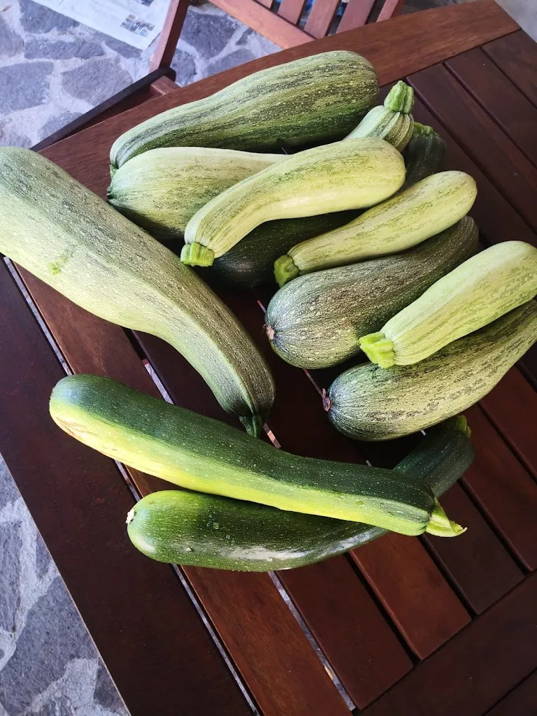 Agriturismo Mura Uppulos_Pozzomaggiore_slider_image_2