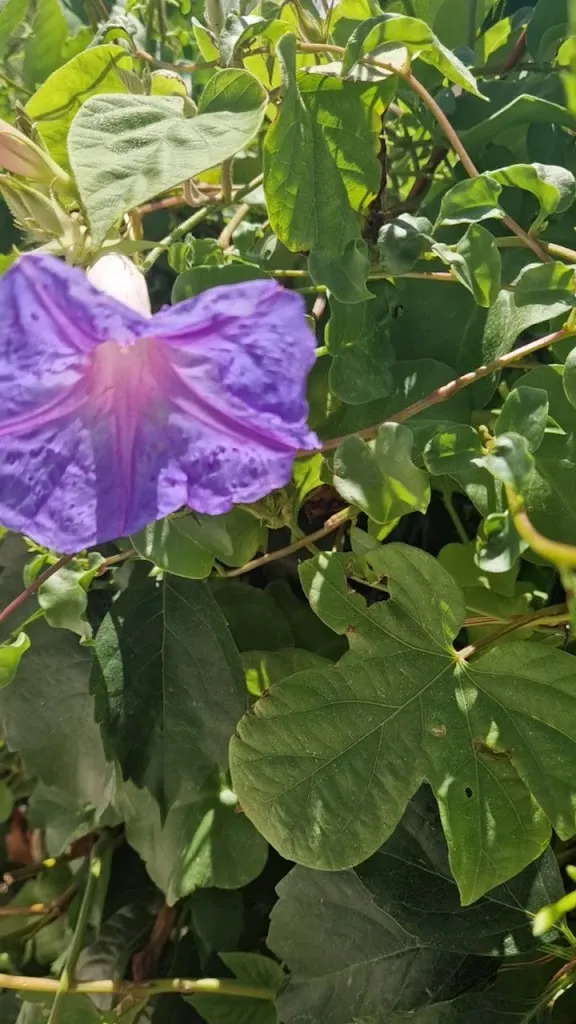 Pizzeria Domus La Roccia_Pozzomaggiore_slider_image_2