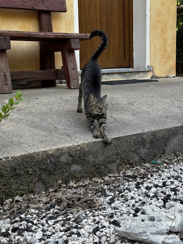 Ismaele Cara_Bachile Bertula Agriturismo_Riola Sardo_review