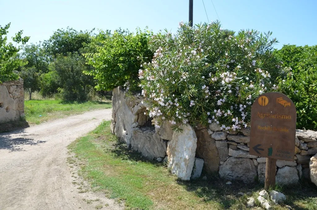 Bachile Bertula Agriturismo_Riola Sardo_slider_image_3