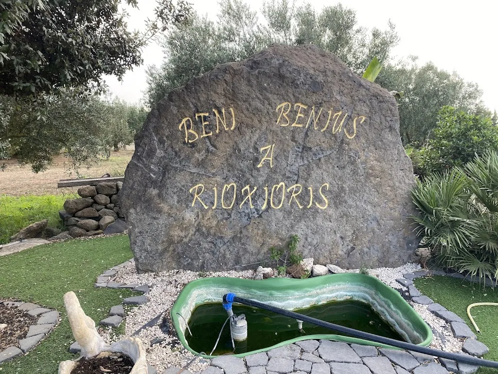 Daniel Portelli_Agriturismo Rioxoris_San Nicolò d'Arcidano_review