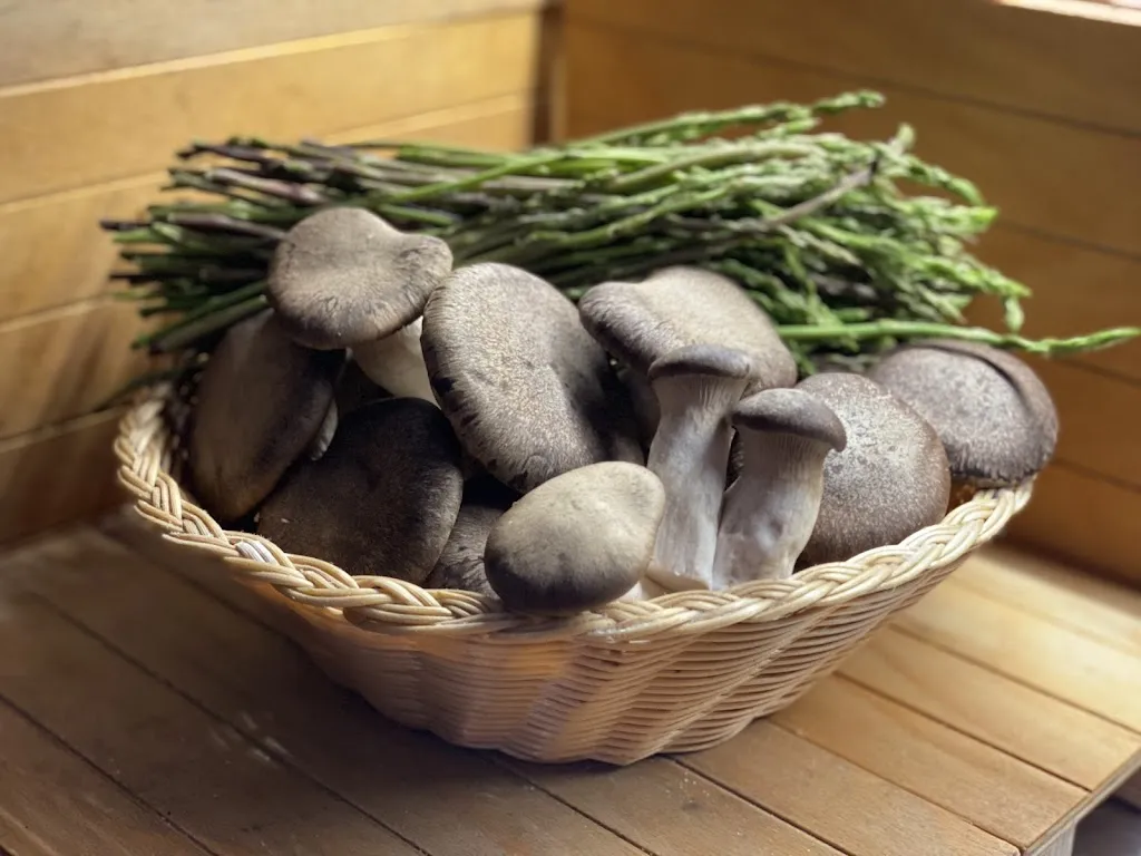 Menu_Bar Congia_San Gavino Monreale_image_7