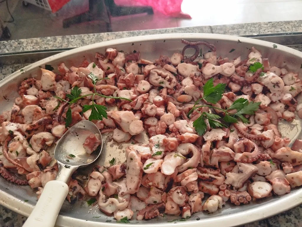 Menu_Paninoteca - Pizzeria - Gastronomia 