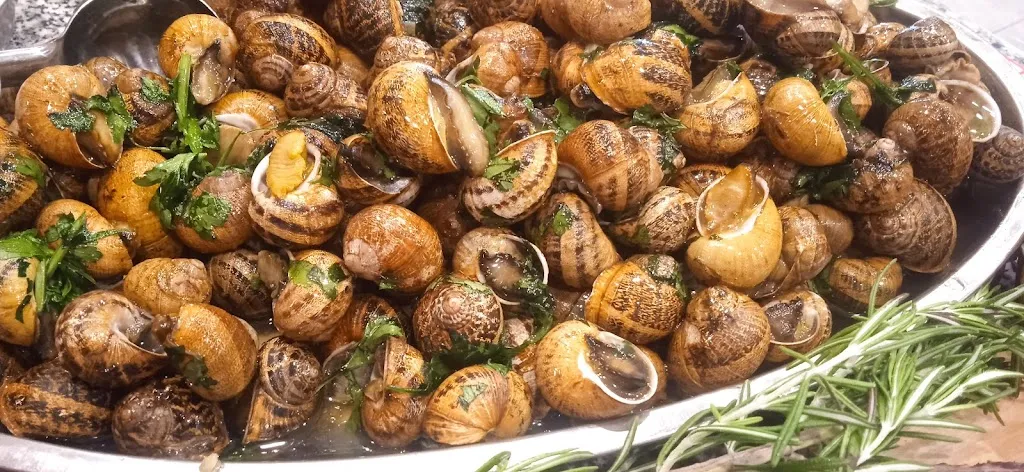 Menu_Paninoteca - Pizzeria - Gastronomia 