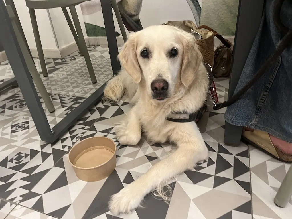 Chloé MONTILLOT_Saludu - Food and Mood_Porto Torres_review