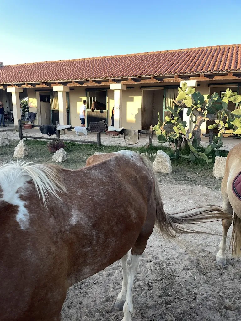 Elena_Circolo Ippico San Lorenzo Oristano_San Vero Milis_recensione