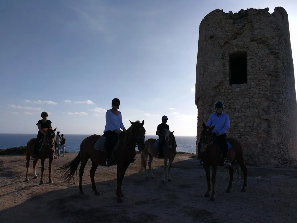 Stephen Milton_Circolo Ippico San Lorenzo Oristano_San Vero Milis_recensione