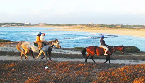 Circolo Ippico San Lorenzo Oristano restaurant in San Vero Milis