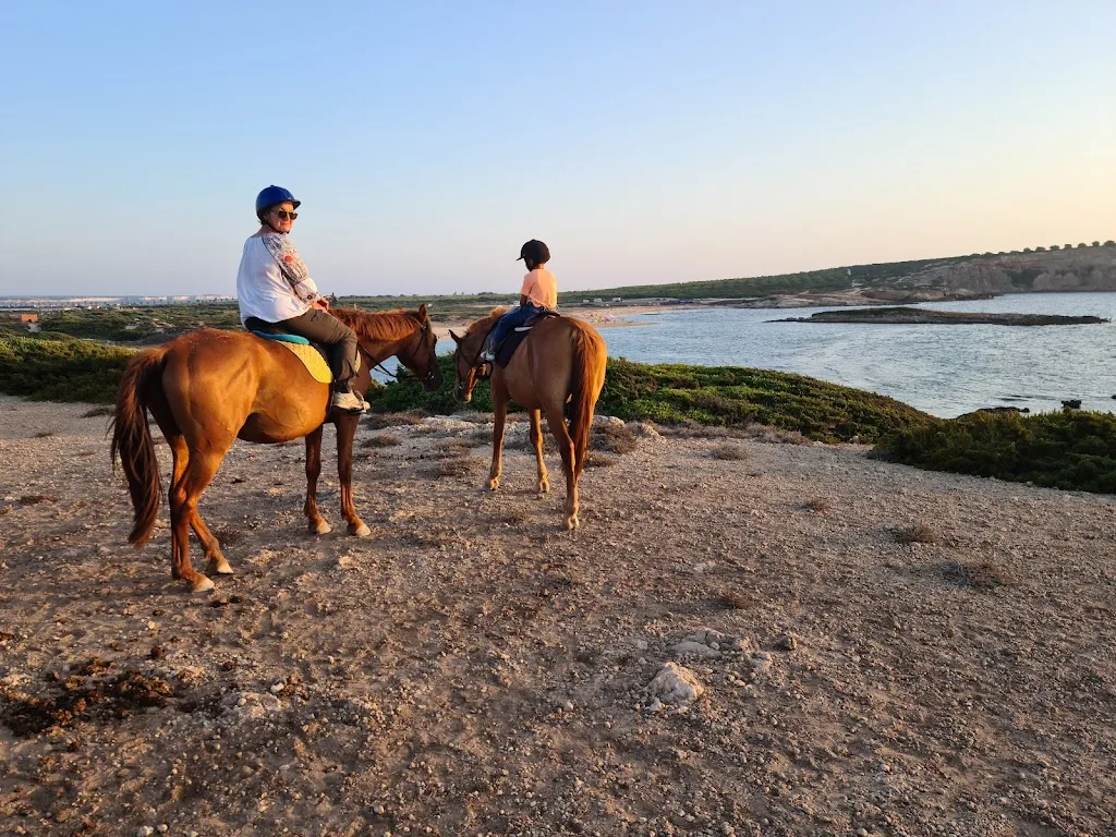 Circolo Ippico San Lorenzo Oristano_San Vero Milis_slider_image_3