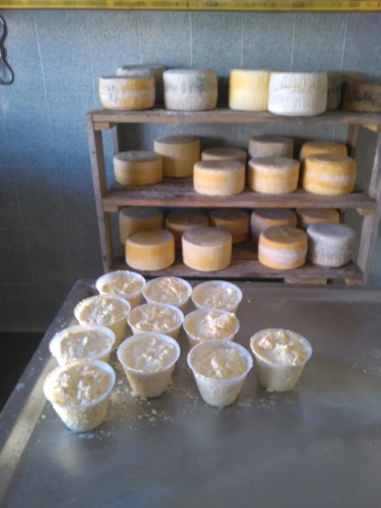 Menu_Ristorante Pizzeria Tenuta Cantore_Ginosa_image_3