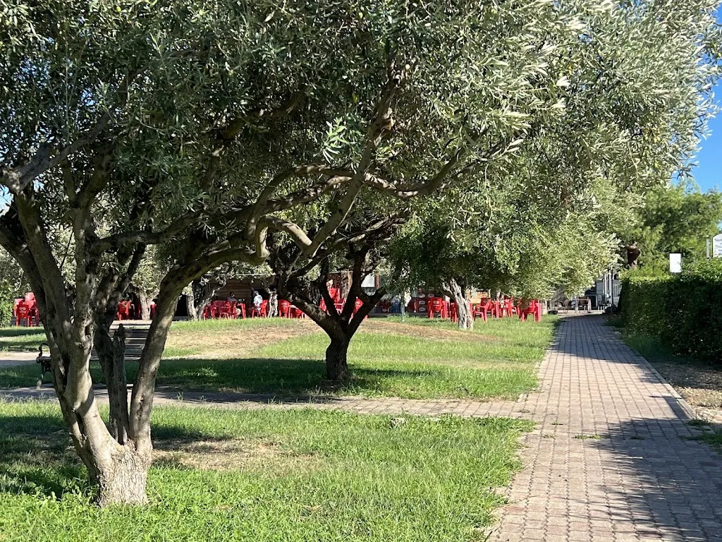 Inbal Assa_Chiosco Bar Stella d'oro_San Sperate_review