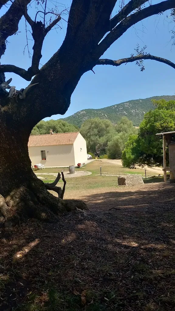 Ristorante @ Lu Rotu Agriturismo_Sant'Antonio di Gallura_slider_image_3