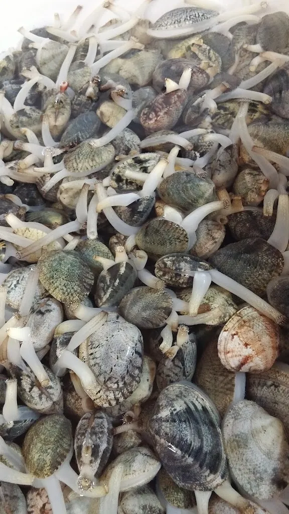 Menu_La Peschiera_Sant'Anna Arresi_image_8