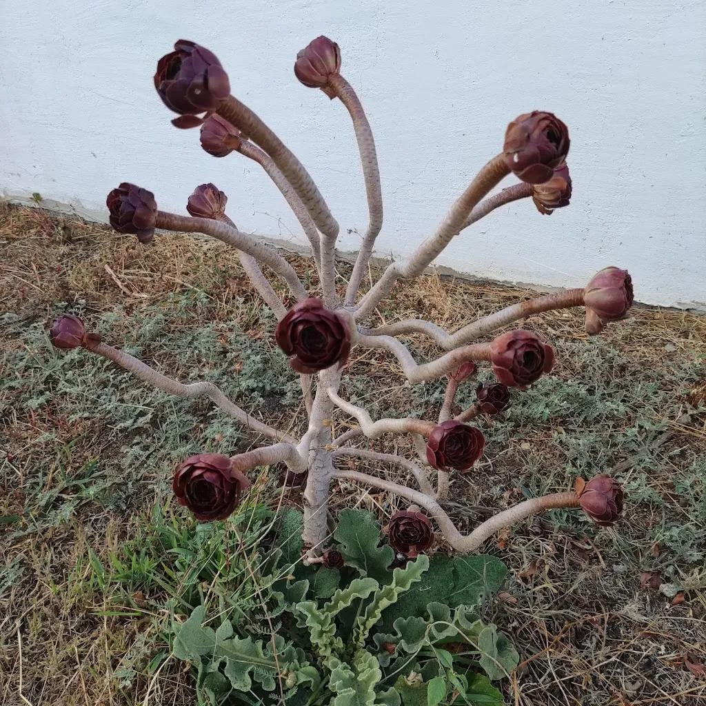 Géza Maczonkai_Montiruju Hotel_Santa Maria Coghinas_review