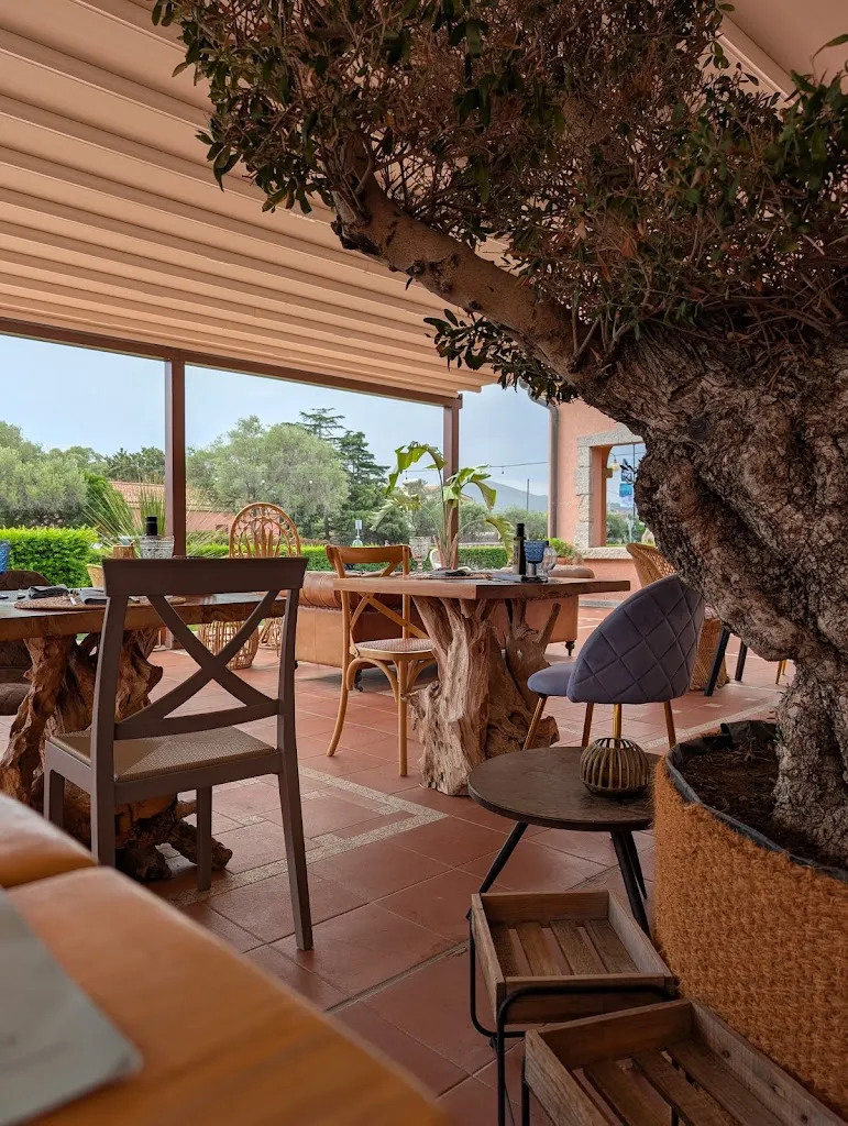 Tres San Teodoro Ristorante | Food - Wine - Cocktail_San Teodoro_slider_image_3