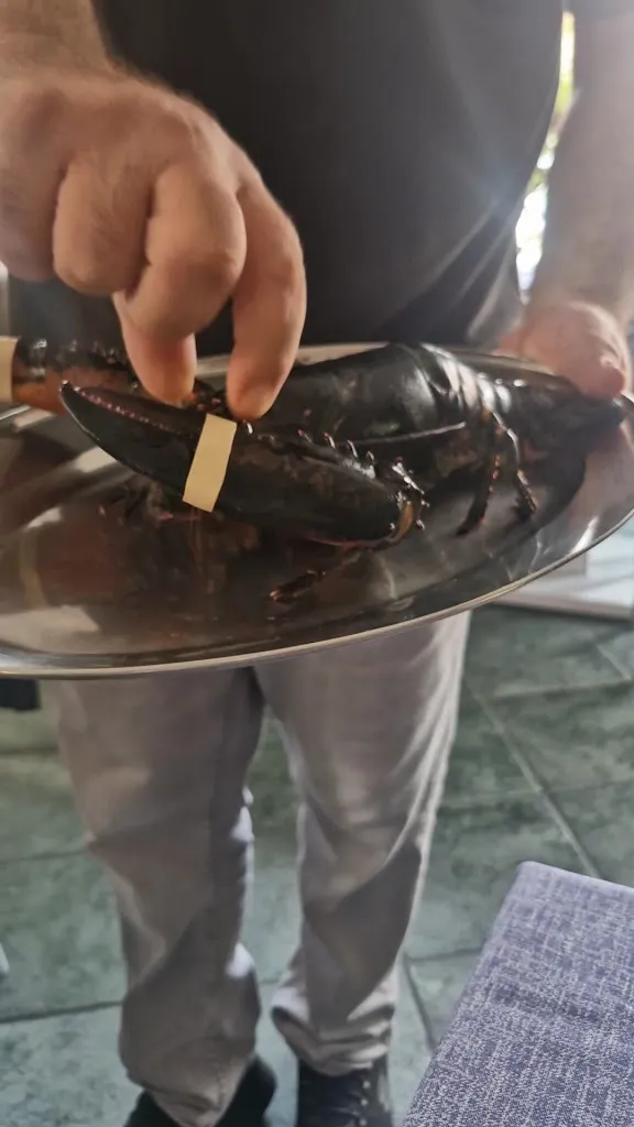 Tre Bien_Il Mangiatutto_San Teodoro_recensione