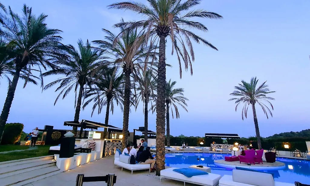 Mr. T_Bal Harbour Restaurant Entertainment_San Teodoro_review