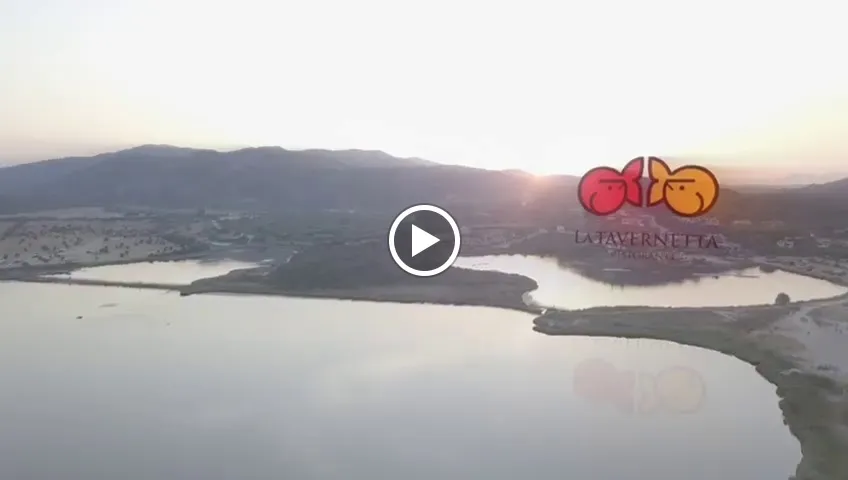 Ristorante La Tavernetta_San Teodoro_slider_image_2