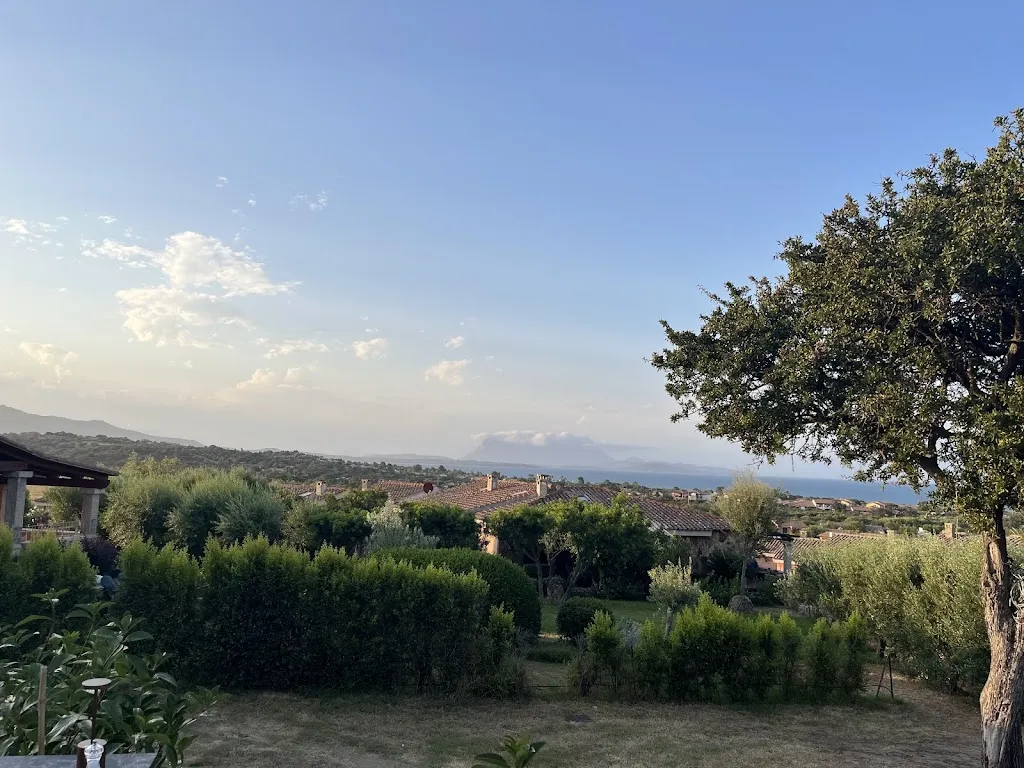 Basem M.EID_RISTORANTE MARES_San Teodoro_review