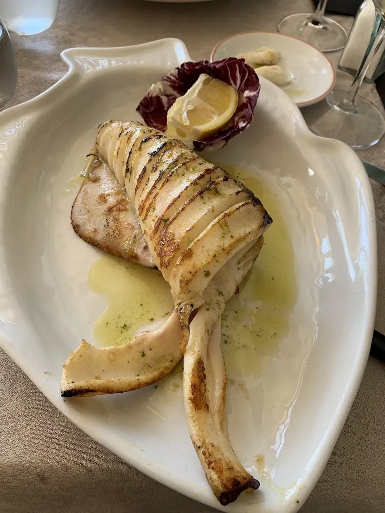 Ashraf Nsheiwat_Flamingo_San Teodoro_review